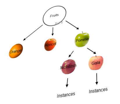 Objets JavaScript représentant des fruits