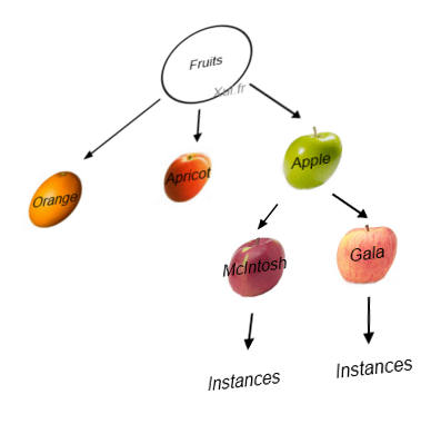 Object in JavaScript, examples with fruits